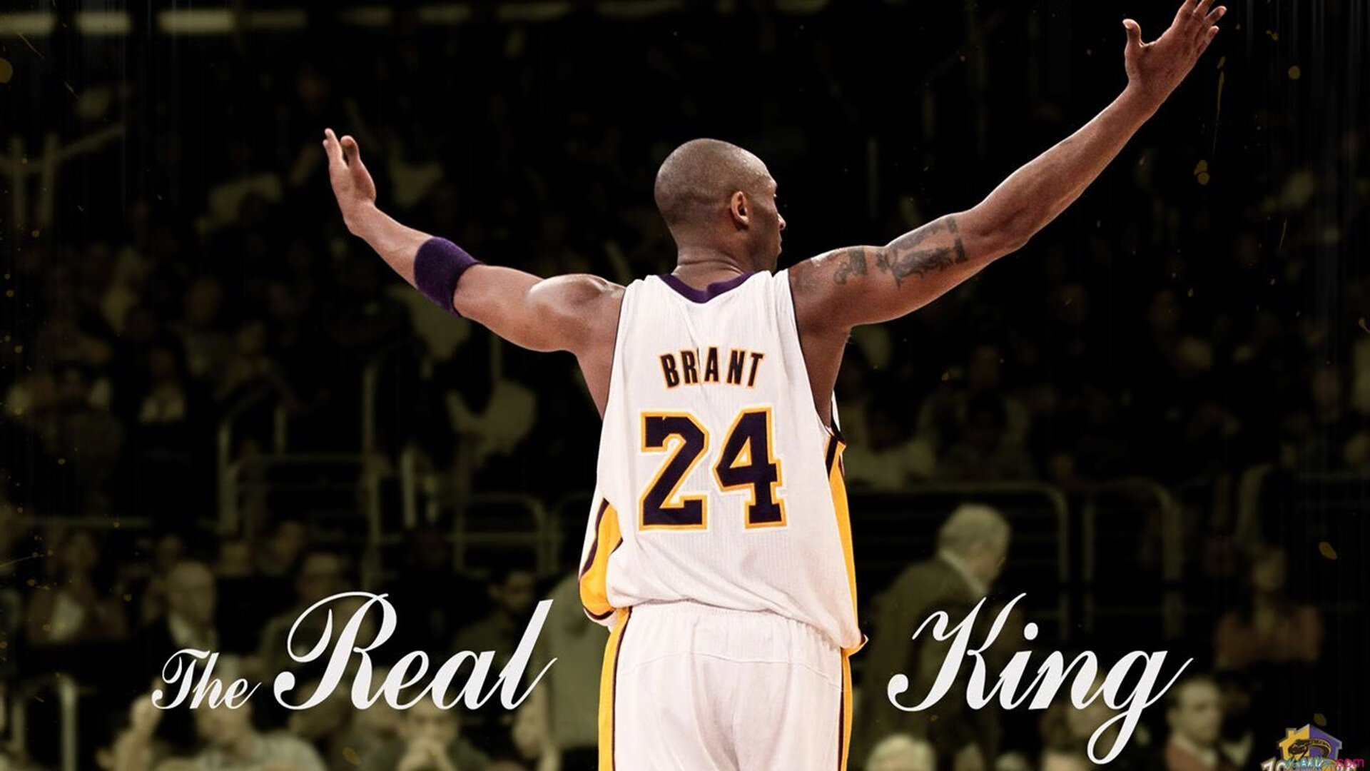 深圳队战术压制雄鹿，塔图姆奥运前夜上演死神时刻