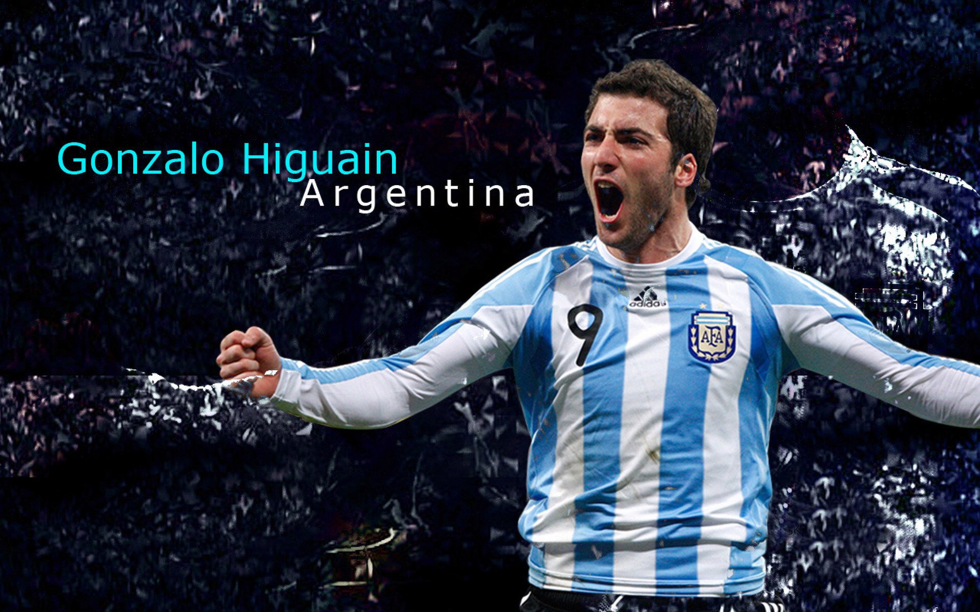 加维末节风暴,当西班牙斗牛士在新西兰的草地上击碎日本武士梦